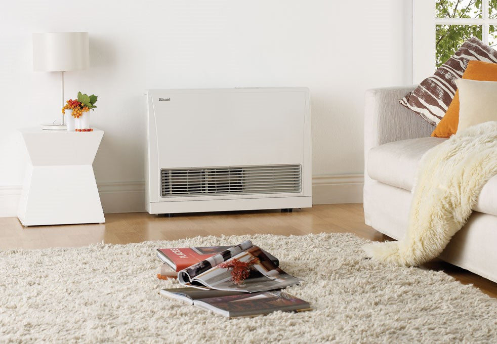 Rinnai Energy Saver 559FT