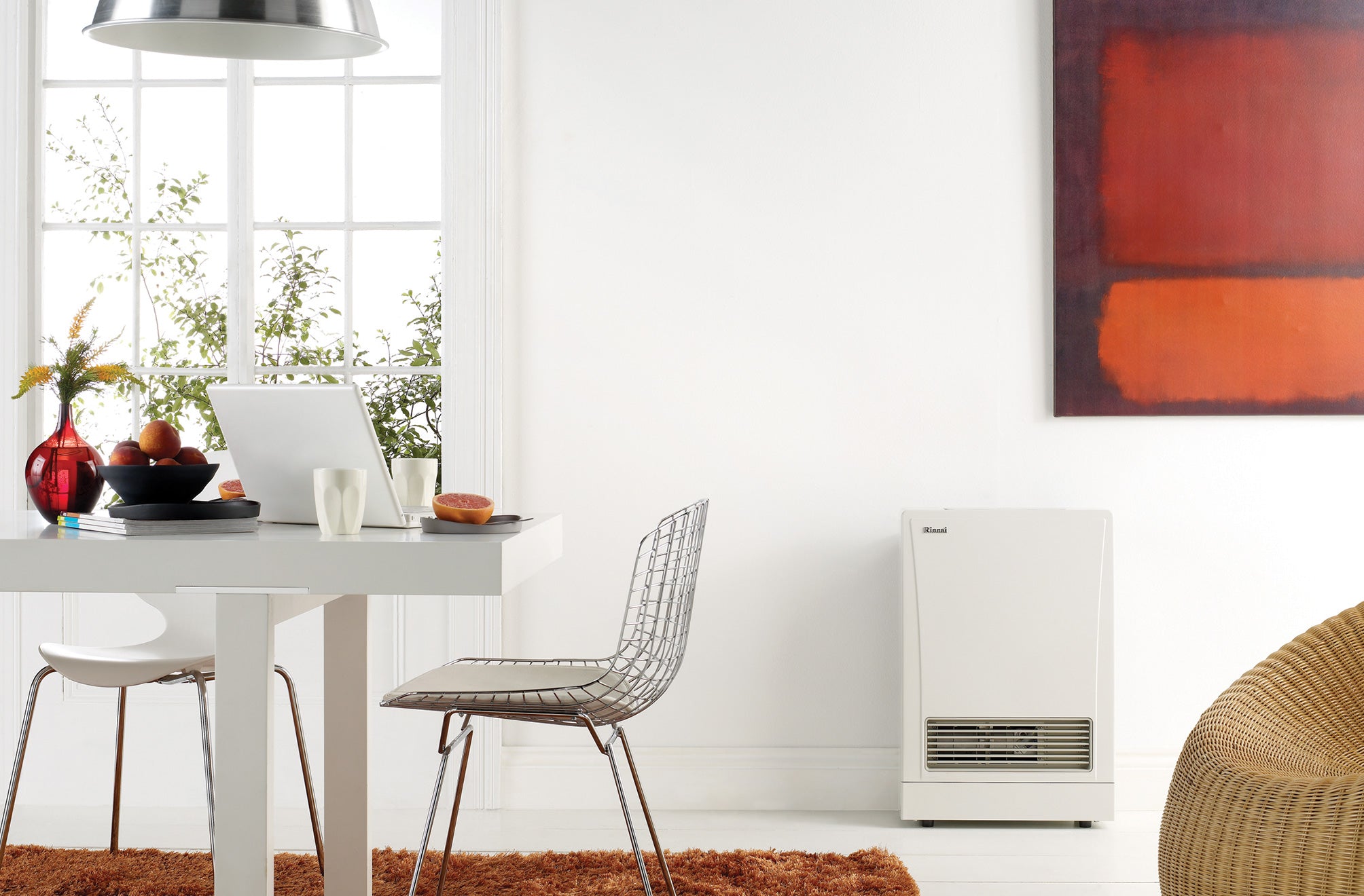 Rinnai Energy Saver 309FT