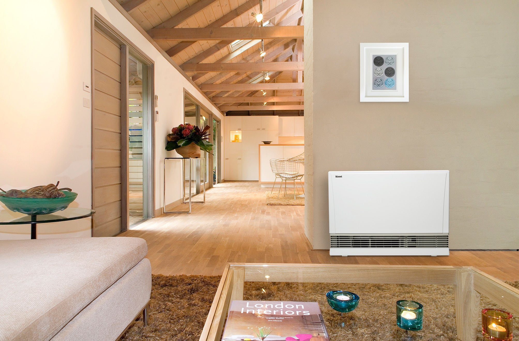 Rinnai Energy Saver 1005FT