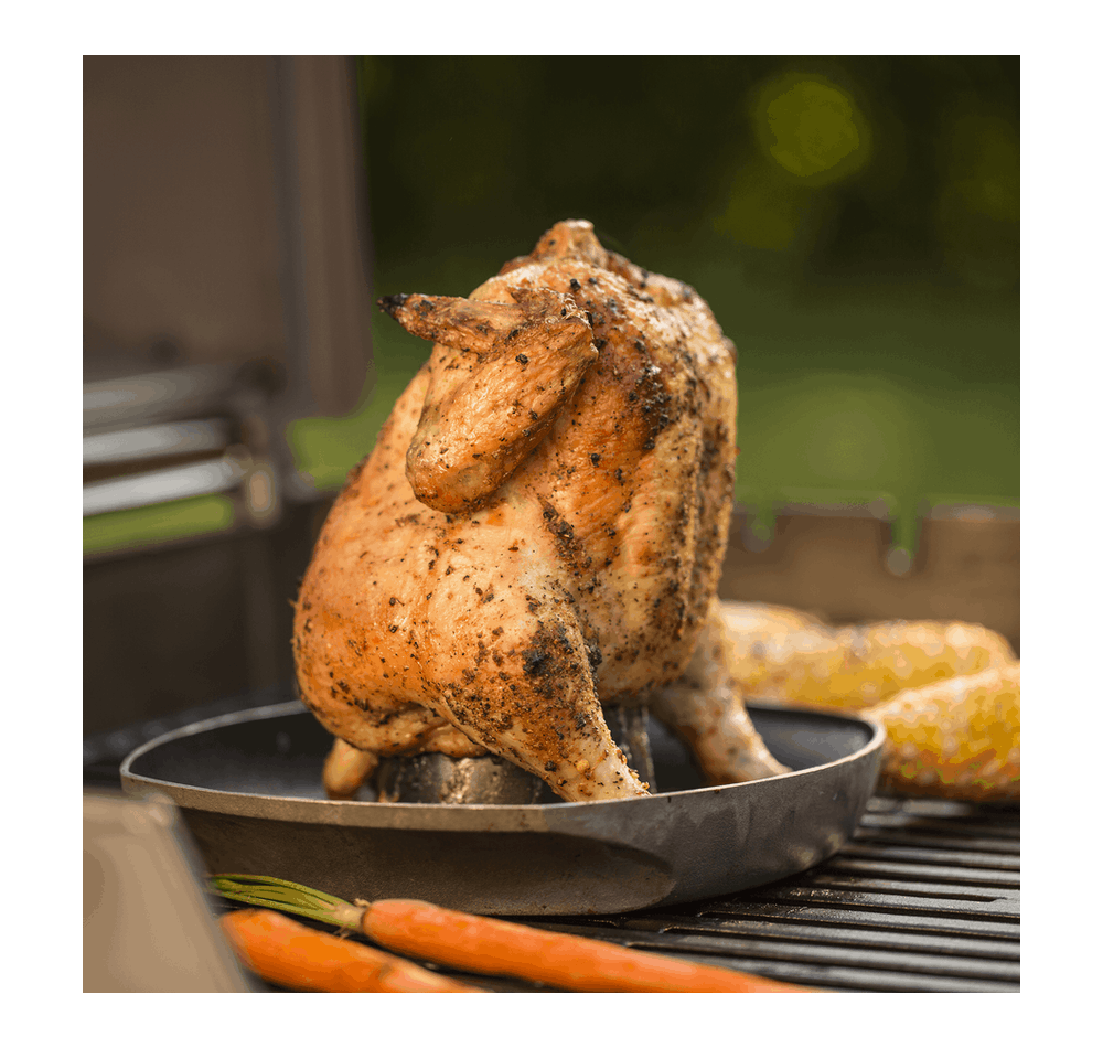 Poultry Infusion Roaster
